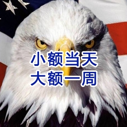 临高要账公司